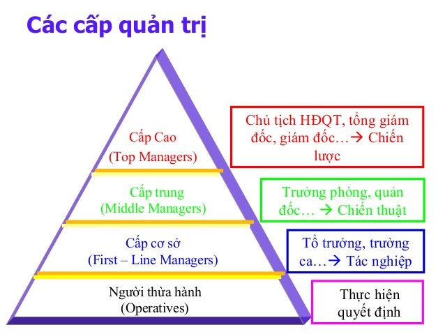 Các cấp quản trị trong doanh nghiệp