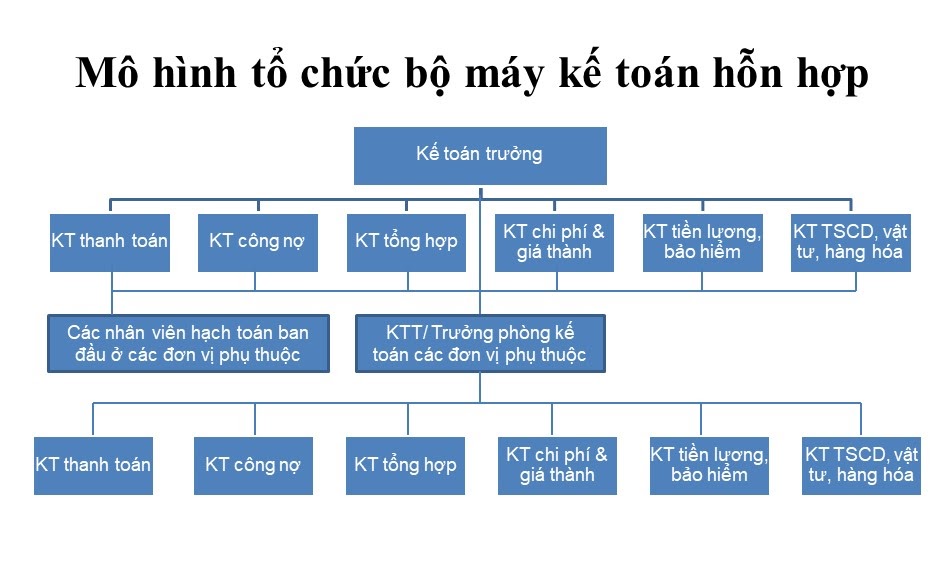 Tổ chức bộ máy hỗn hợp