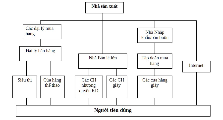 chiến lược marketing của adidas về hệ thống phân phối