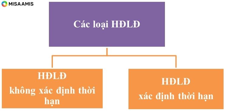 _Hình 2_ Các loại hợp đồng lao động theo Bộ luật Lao động năm 2019