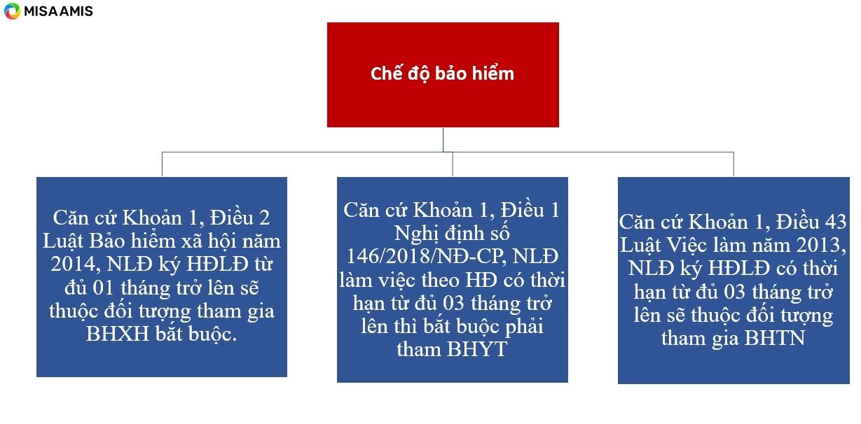 Các căn cứ để xác định NLĐ thuộc đối tượng tham gia bảo hiểm nào