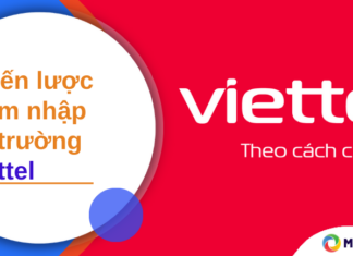 Chiến lược thâm nhập thị trường quốc tế của Viettel