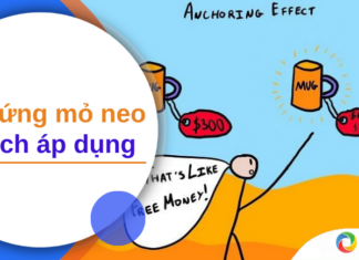 Hiệu ứng mỏ neo và cách áp dụng trong kinh doanh