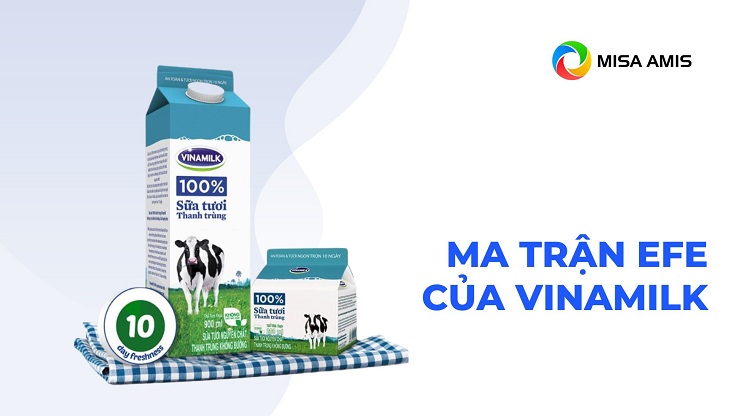 Ma trận EFE của Vinamilk