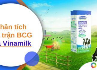 Phân tích ma trận BCG của Vinamilk mới nhất 2022