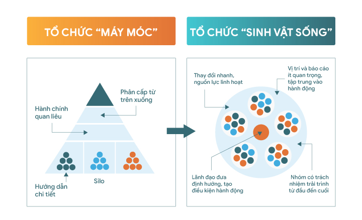 cơ cấu tổ chức và mô hình phối hợp