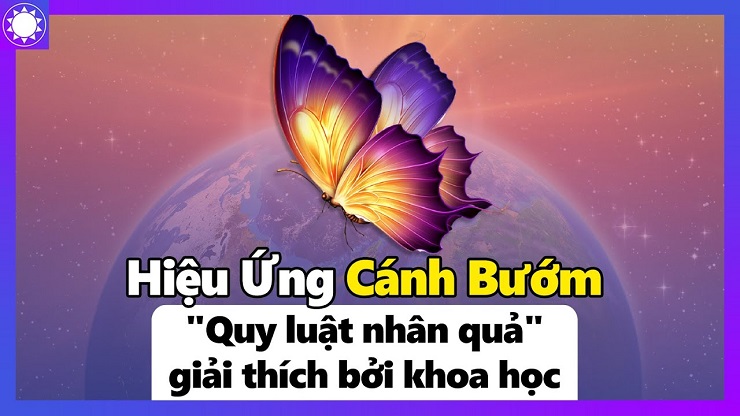 Hiệu ứng cánh bướm trong cuộc sống