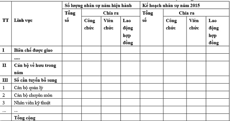 Mẫu báo cáo định biên nhân sự 3