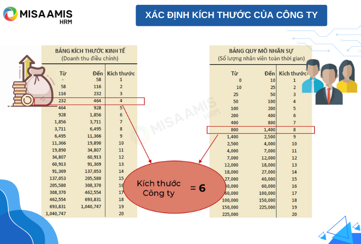 Xác định kích thước của Công ty