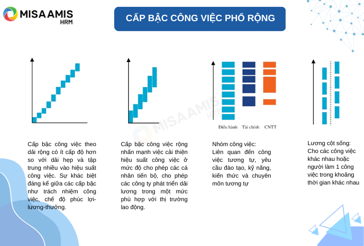 Cấp bậc công việc phổ rộng