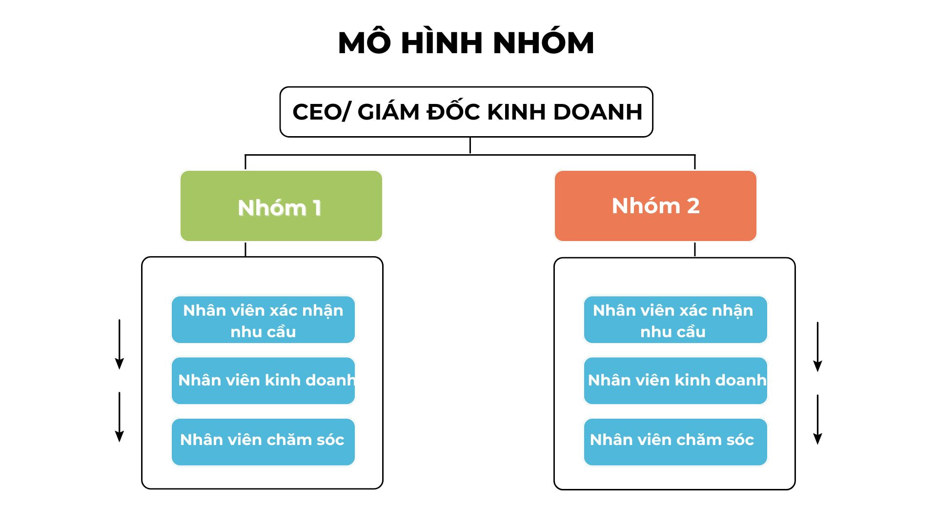 mô hình nhóm quy trình làm việc của phòng kinh doanh mô