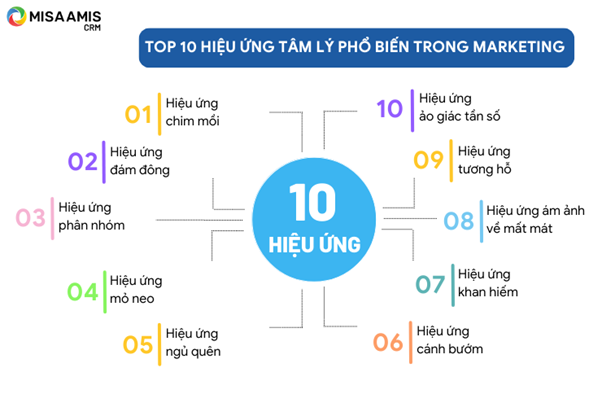 Top 10 hiệu ứng tâm lý phổ biến trong Marketing