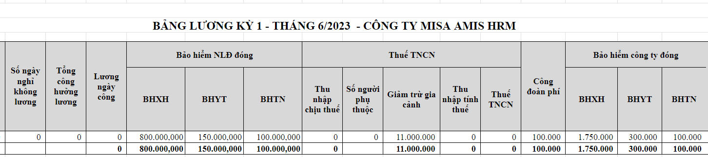 Mẫu bảng tính lương nhân viên đơn giản theo ngày công