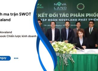 mô hình swot của novaland