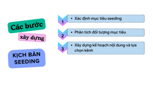 Các bước xây dựng kịch bản seeding comment