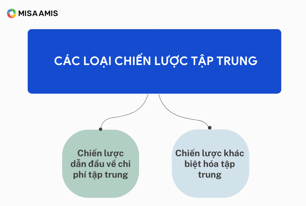 Các loại chiến lược tập trung.