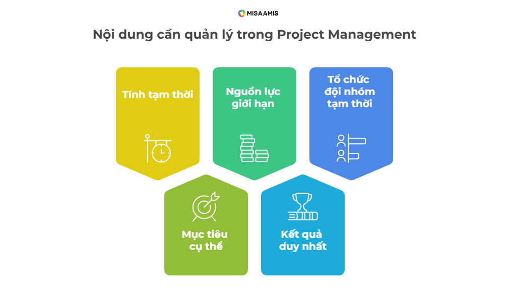 nội dung trong Project Management