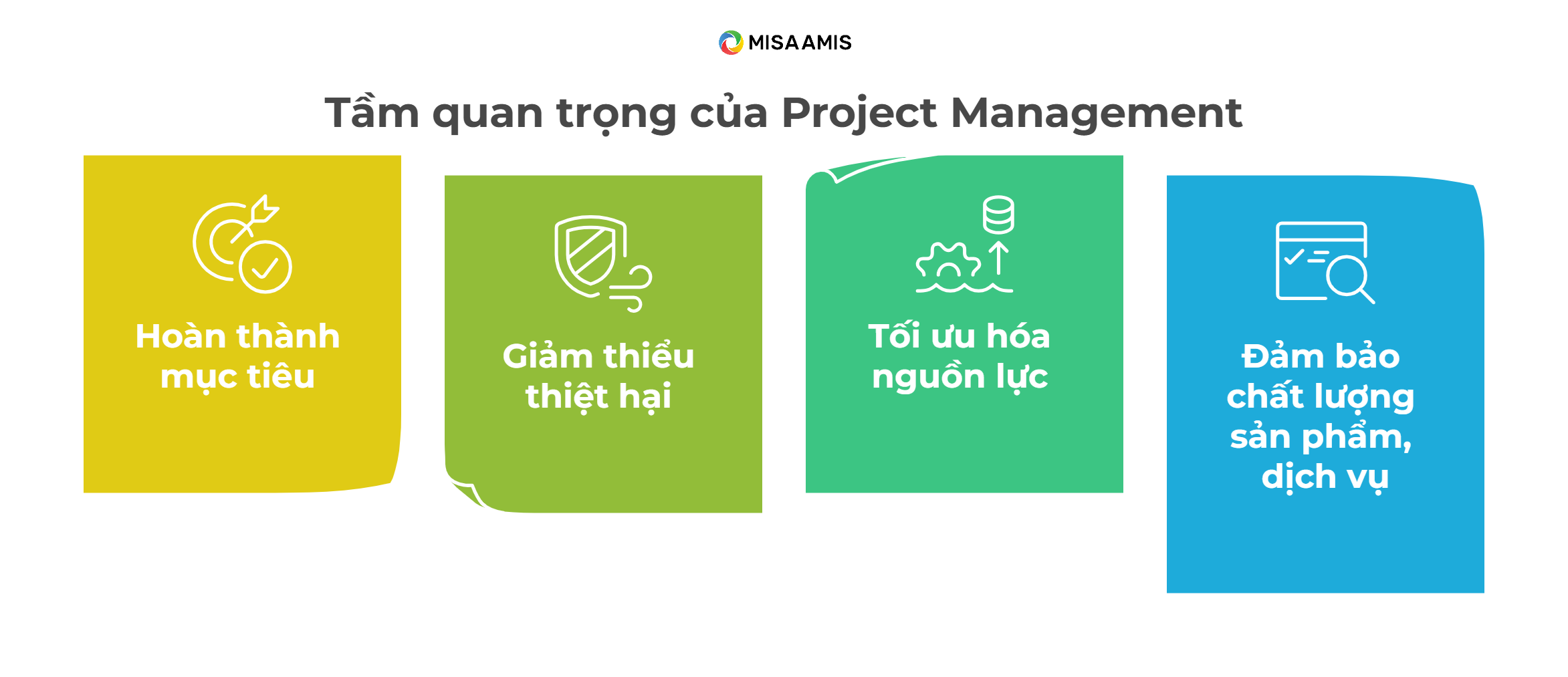 vai trò của Project Management